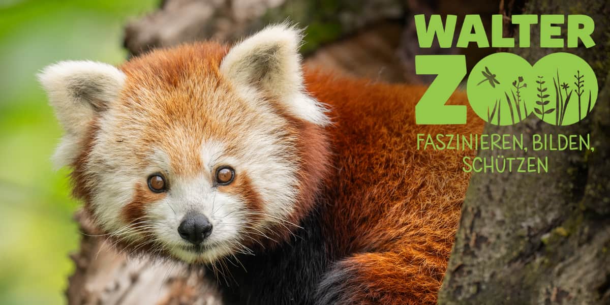 Walter Zoo