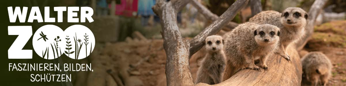 Walter Zoo